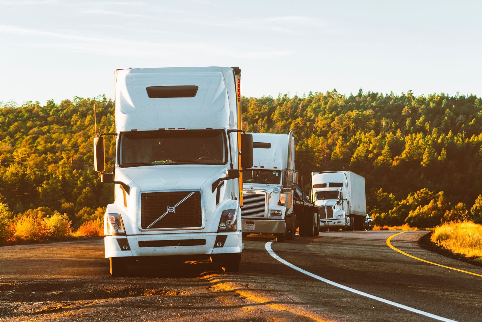 Group of freight trucks transporting goods on the road